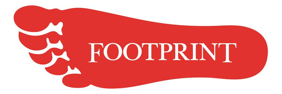 Footprint 620C Card of 2 Line Pins