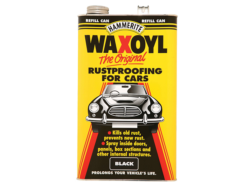 Automotive Paint & Protectant
